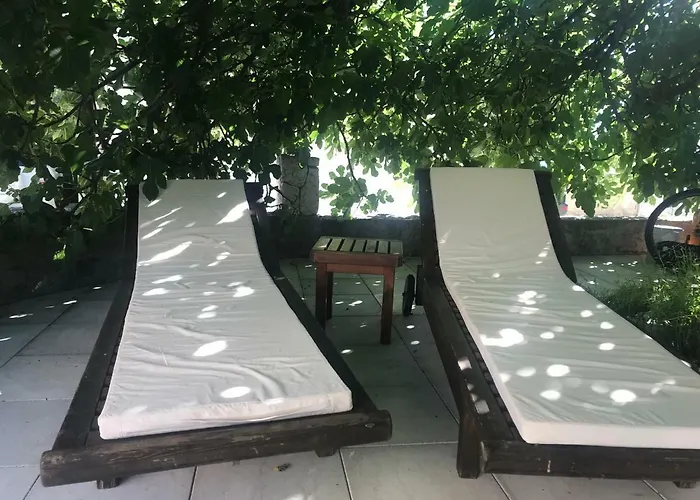 Ivankovic 罗戈兹尼察